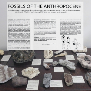Fossils-of-the-Anthropocene-Installation