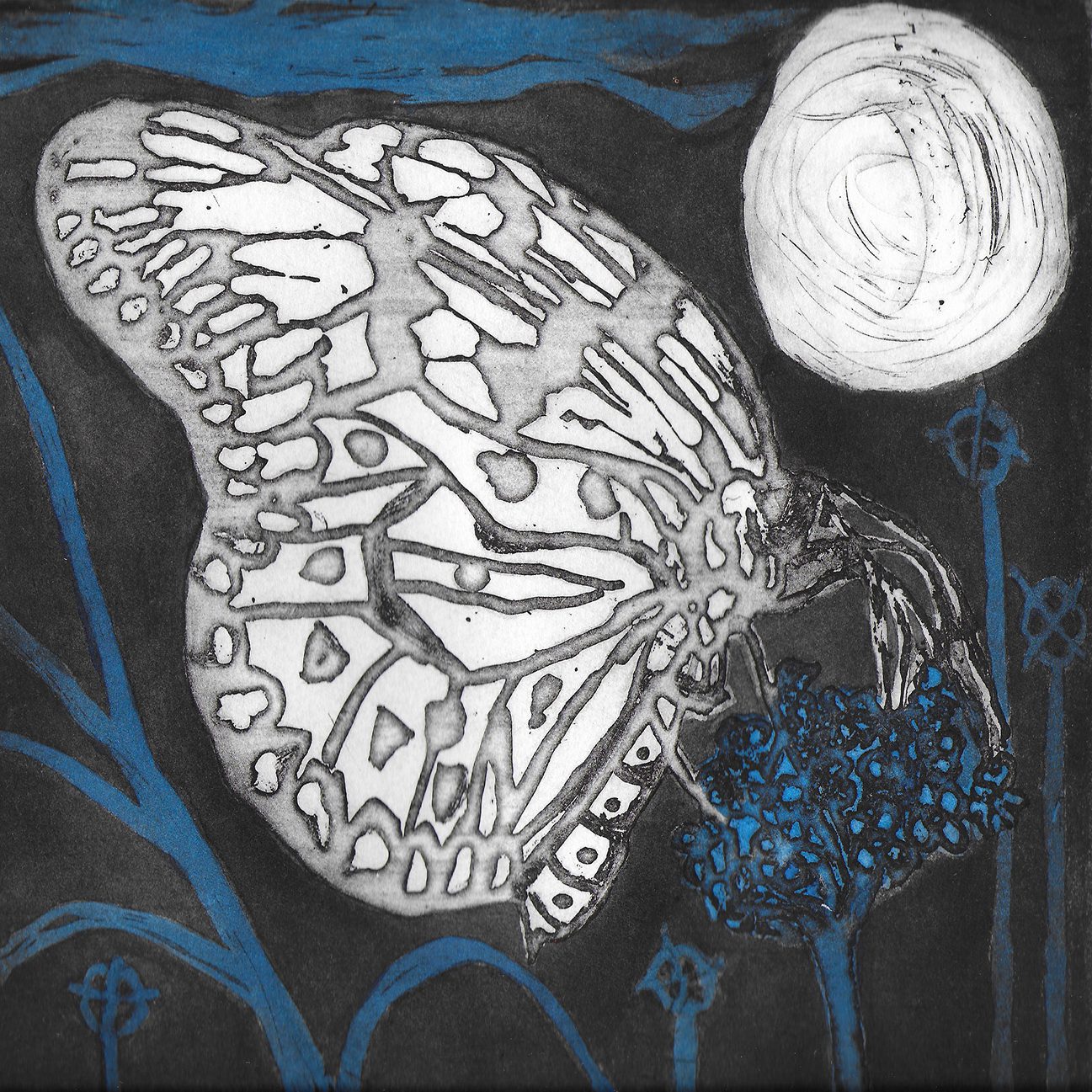 Etching Butterfly Dreams