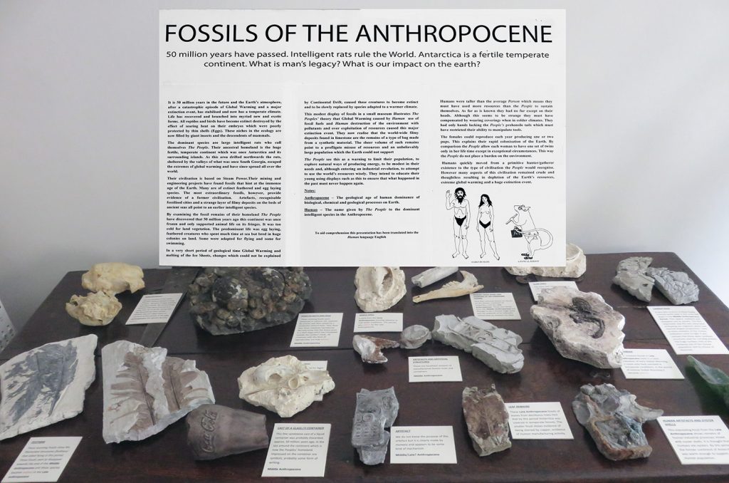 Fossils of the Anthropocene Installation