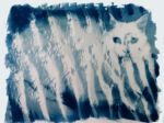 Cyanotype Catwaves