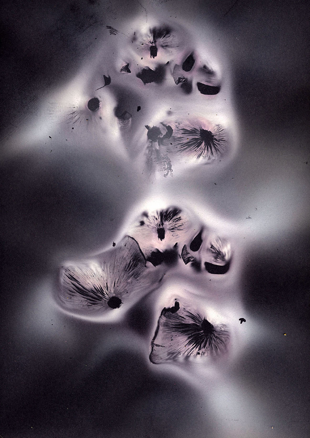 Mushroom Spore Print Enigma II