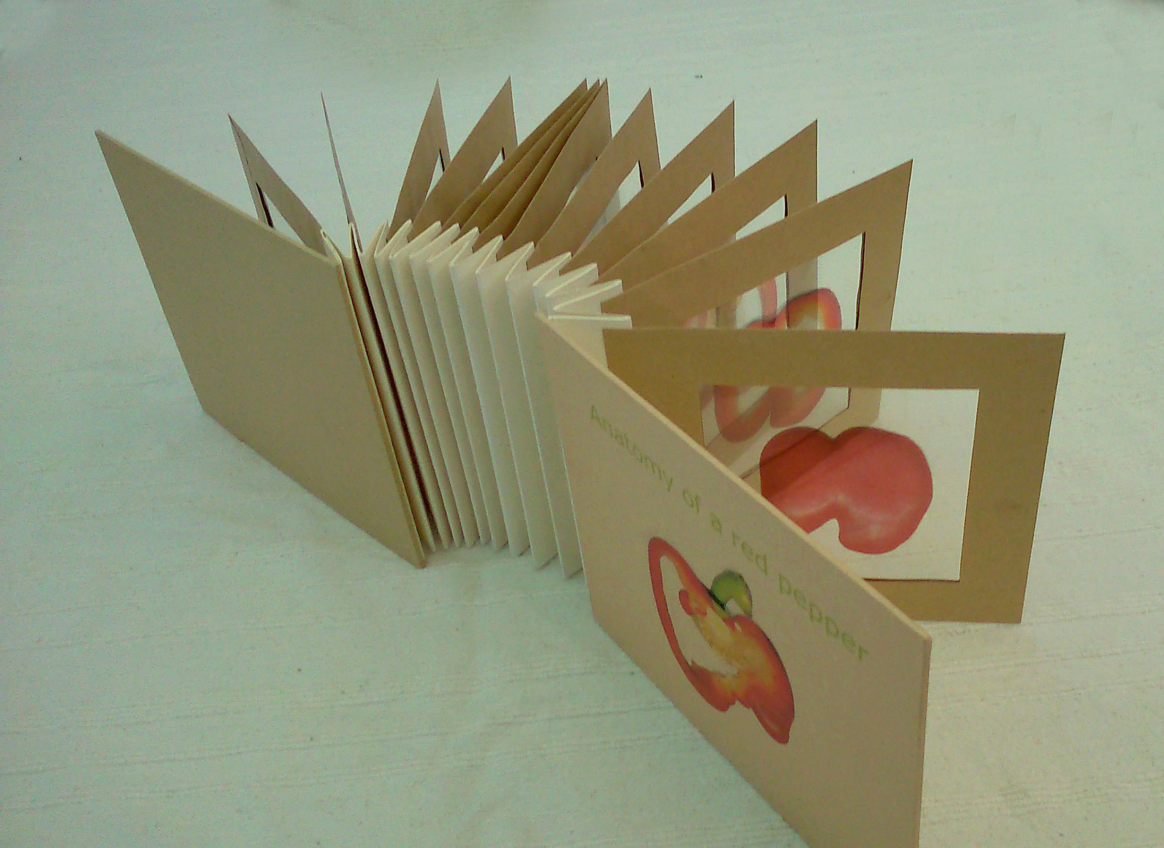 Anatomy of a Red Pepper 2